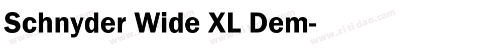 Schnyder Wide XL Dem字体转换